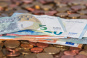Согласно данным «Минфин», торги закрылись в диапазоне 44,3000−44,3300 грн/$.