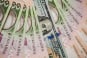 НБУ установил курс валют на понедельник: доллар отступил от максимума