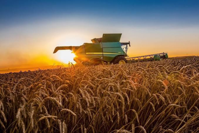 Объем производства сельскохозяйственной продукции в Украине в январе-июне 2026 года уменьшился на 1,6% по сравнению с аналогичным периодом 2025 года, в то время как по итогам пяти месяцев рост составил 1,4%, сообщила Государственная служба статистики (Госстат).► Подписывайтесь на телеграмм-канал «Минфин»: главные финансовые новостиОтрицательная динамикаСогласно обнародованным данным, отрицательная динамика была обеспечена отраслью растениеводства на сельхозпредприятиях, где спад был зафиксирован на уровне 14,8%.