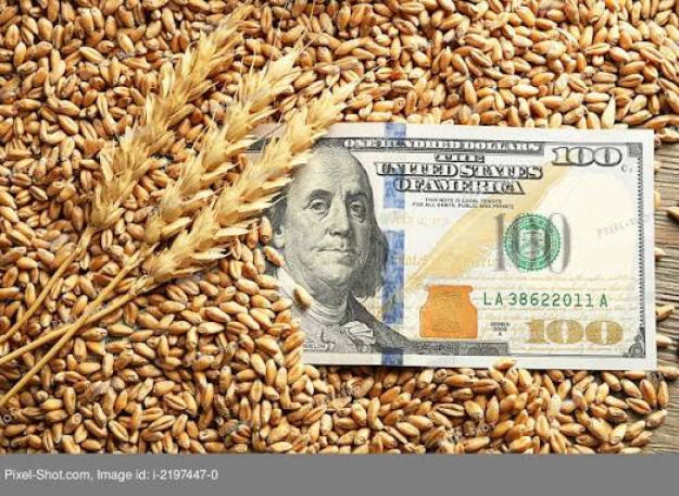 Как сообщает Bloomberg, в понедельник самые активные фьючерсы на пшеницу на Чикагской товарной бирже подорожали на 1,8%.