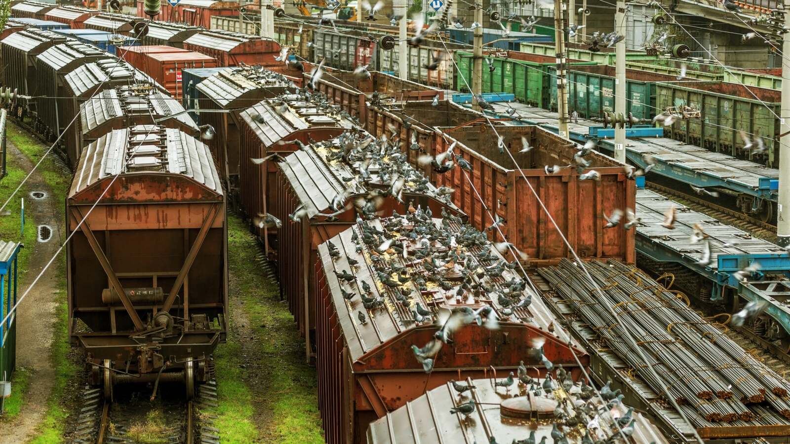 Украина и Молдова договорились о 50%-ном снижении тарифа на транзитные железнодорожные перевозки украинских грузов.