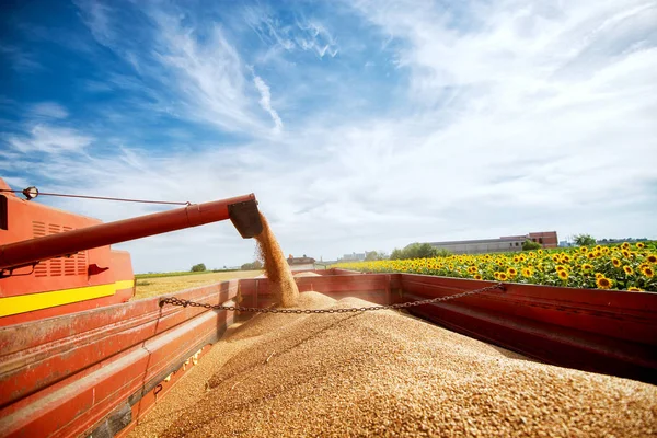 Україна впродовж 1−27 серпня експортувала 1,726 млн тонн агропродукції.