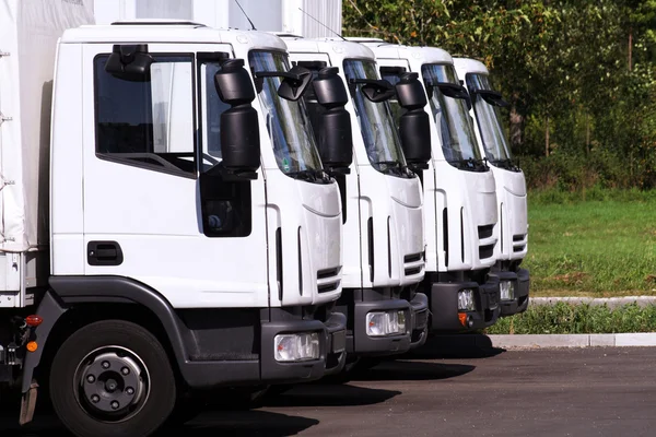 У серпні український ринок нових комерційних автомобілів — вантажних і спеціальних — поповнився 1050 машинами.