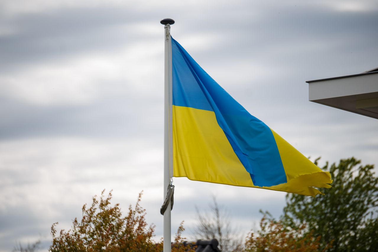 Украина может получить от ЕС пошаговый план движения к членству с перечнем необходимых реформ и ориентировочными сроками завершения ключевых этапов переговоров.