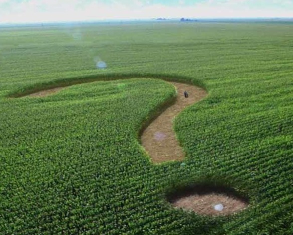 Нужен ли Украине рынок земли