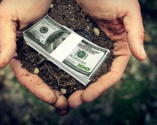 Как продать и купить землю: пошаговая инструкция