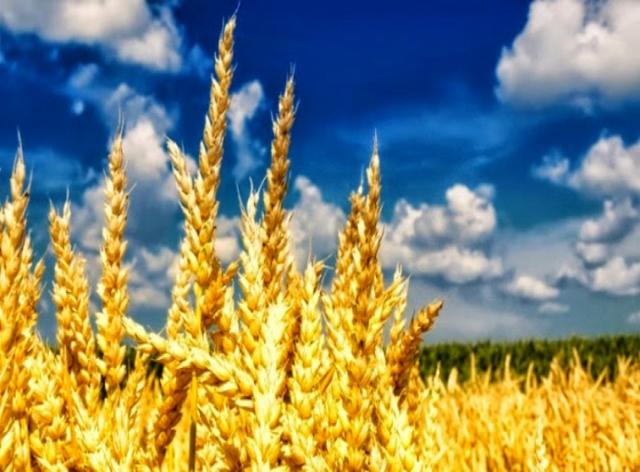 Война с Россией, вторжение россиян, санкции против России