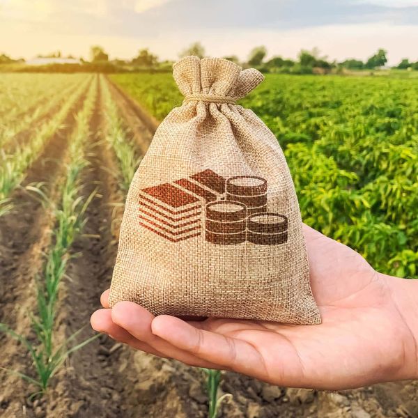 Земля или недвижимость: что выбрать для пассивного дохода