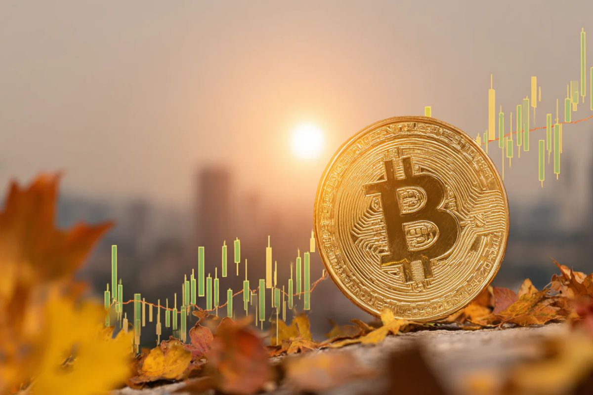 По итогам октября биткоин подешевел: как зарабатывать на крипторынке в ноябре