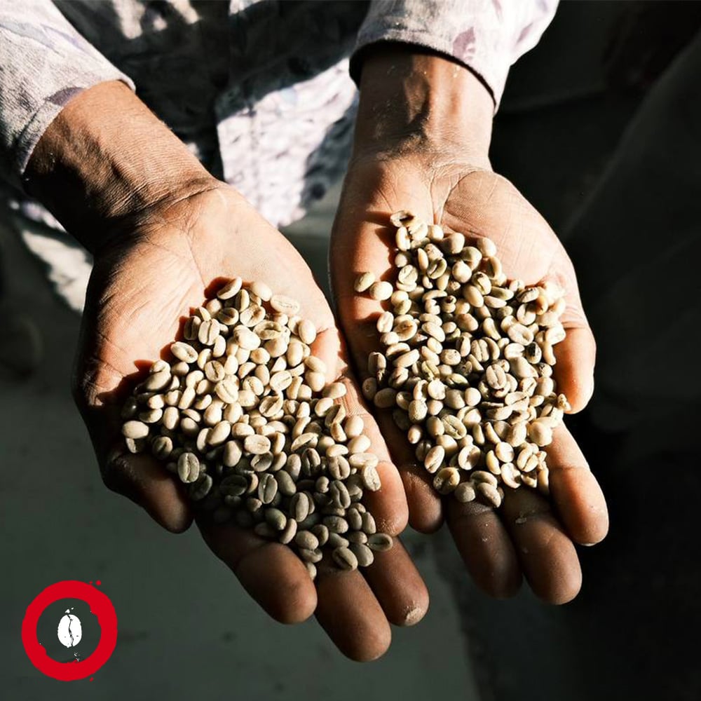 Как !Fest Coffee Mission создает инвестиционные возможности