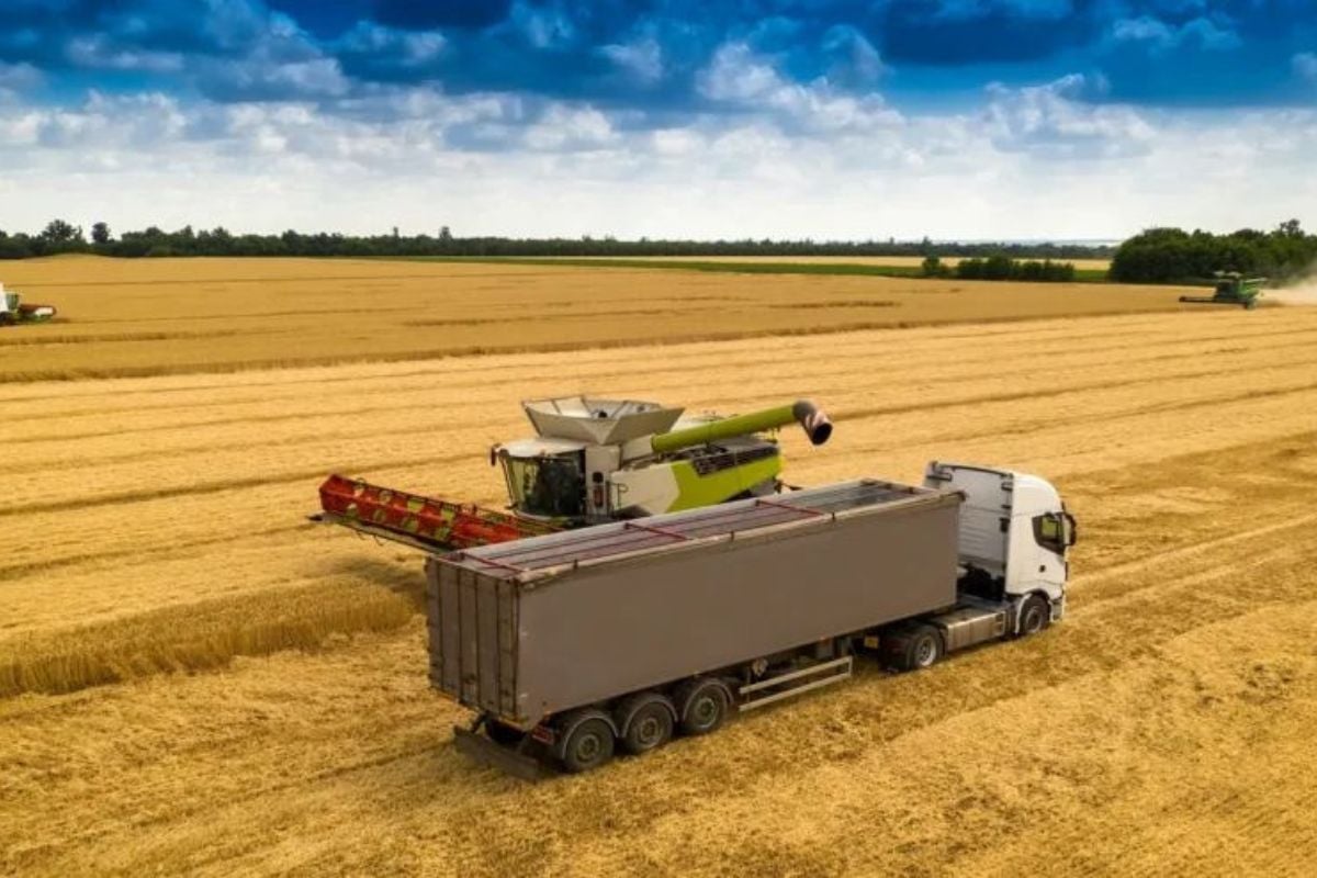 Сколько на самом деле стоит земля в Украине и много ли на ней можно заработать